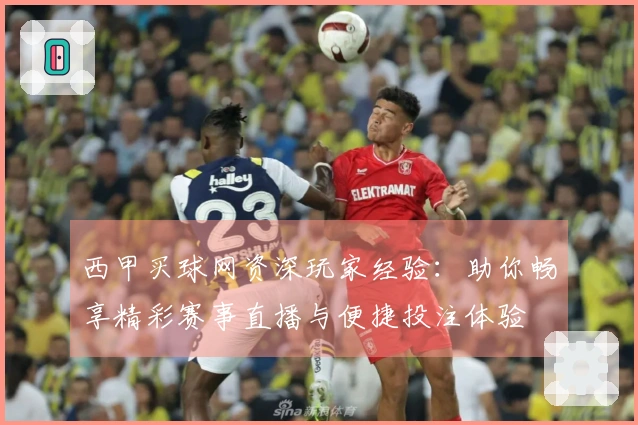 西甲买球网资深玩家经验：助你畅享精彩赛事直播与便捷投注体验