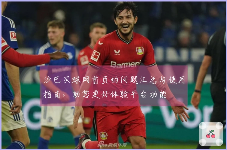 沙巴买球网首页的问题汇总与使用指南，助您更好体验平台功能