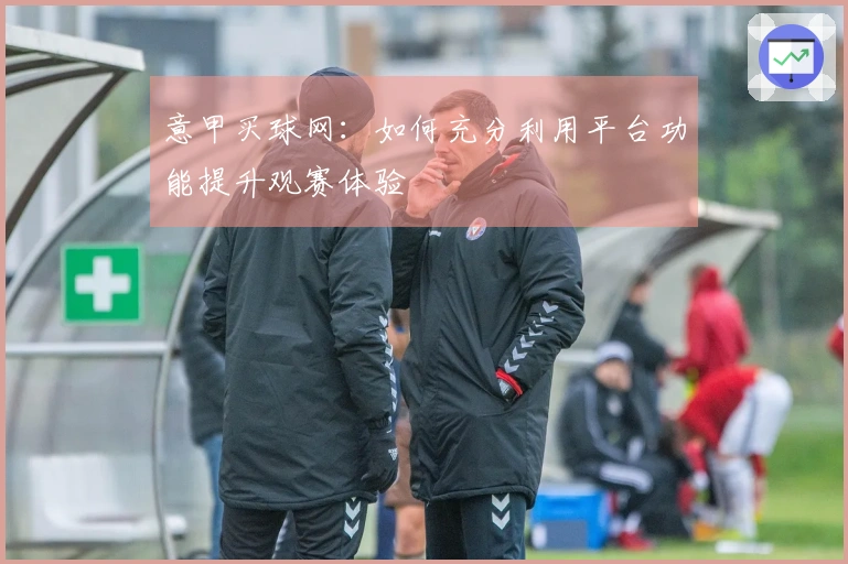 意甲买球网：如何充分利用平台功能提升观赛体验