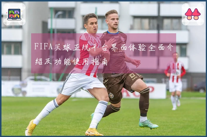 FIFA买球正规平台界面体验全面介绍及功能使用指南