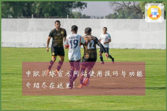 中欧买球官方网站使用技巧与功能介绍尽在这里！