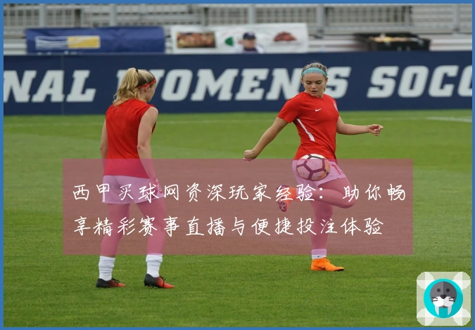 西甲买球网资深玩家经验:助你畅享精彩赛事直播与便捷投注体验