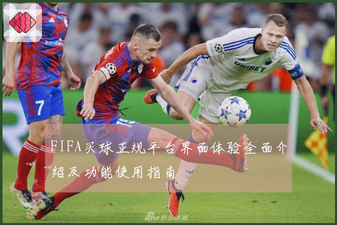 FIFA买球正规平台界面体验全面介绍及功能使用指南