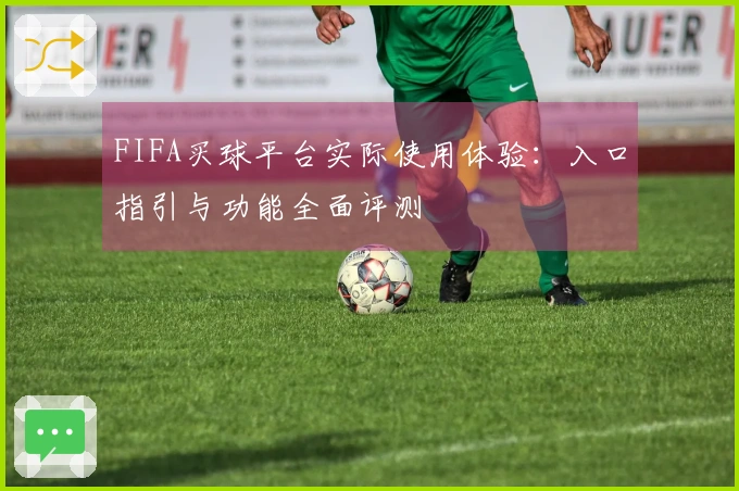 FIFA买球平台实际使用体验：入口指引与功能全面评测