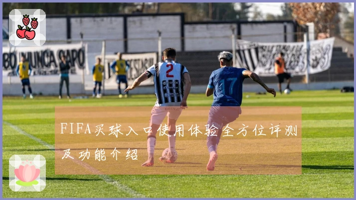 FIFA买球入口使用体验全方位评测及功能介绍